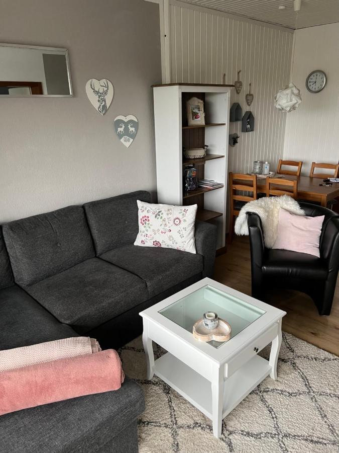 Apartamento Julia Sankt Andreasberg Exterior foto